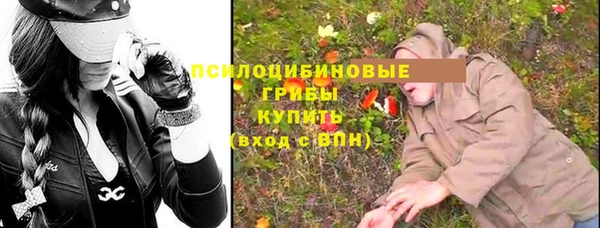 индика Куйбышев