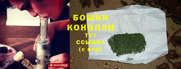 индика Куйбышев