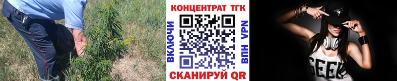 магазин продажи наркотиков  Чистополь  hydra маркетплейс  Дистиллят ТГК Wax 