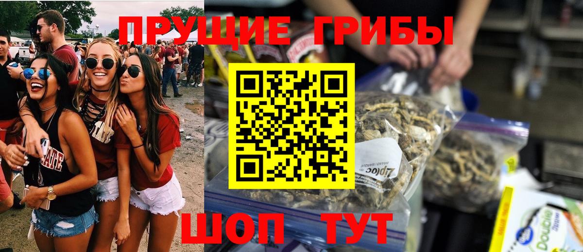 Галлюциногенные грибы Cubensis Чистополь