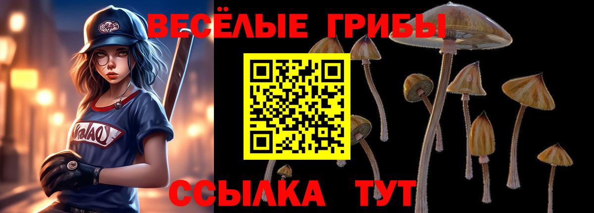 Чистополь  Псилоцибиновые грибы мицелий  Вход с VPN 